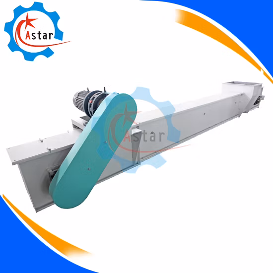 Flat Conveying System Scraper Conveyor Equipment