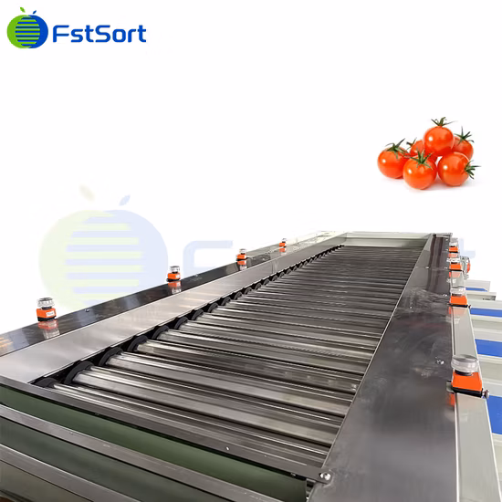 Fruit Vegetable Processing Equipment Cherry Tomato Sizing Equipment Lime Classifying Lemon Processing Equipment Manufacturer Grading Fruits Machine