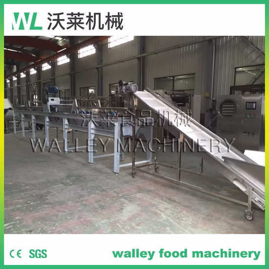 High Quality Dates Grading Machine Blueberry Classifying Equipment