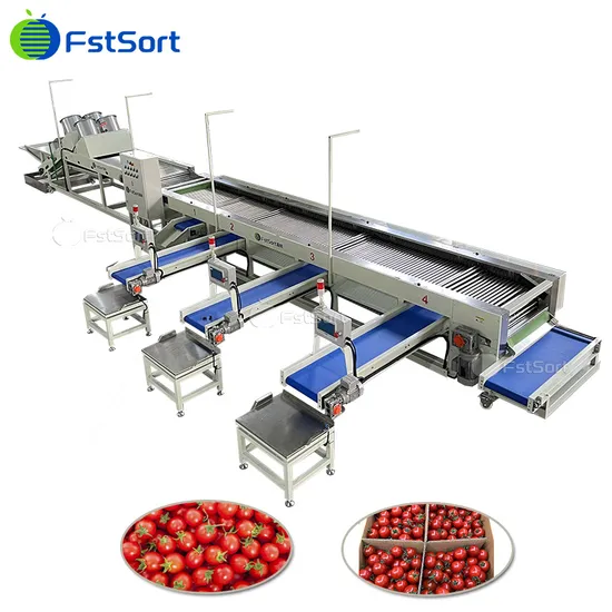 Fruit Processing Technology Sorting Cherry Tomato Sweet Potato Sizing Machine Longan Classification Lime Classifying Lemon Processing Equipment