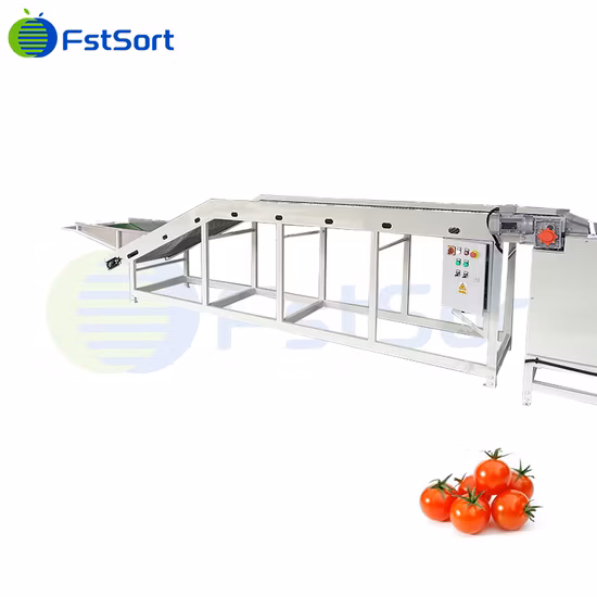 Fruit Processing Technology Sorting Cherry Tomato Sweet Potato Sizing Machine Longan Classification Lime Classifying Lemon Processing Equipment