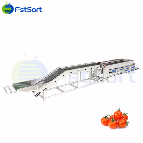 Fruit Processing Technology Sorting Cherry Tomato Sweet Potato Sizing Machine Longan Classification Lime Classifying Lemon Processing Equipment