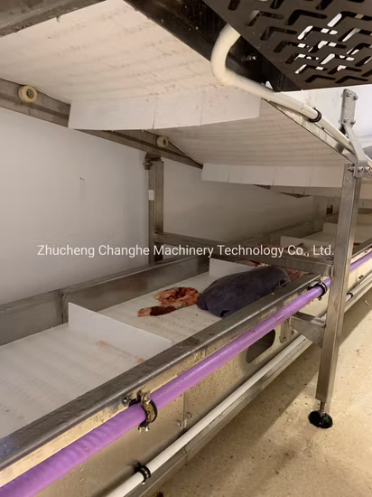 White Stripe Hexad Conveying Pig, Cattle and Sheep Processing Equipment