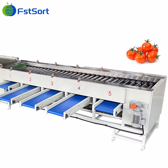 Fruit Processing Technology Sorting Cherry Tomato Sweet Potato Sizing Machine Longan Classification Lime Classifying Lemon Processing Equipment